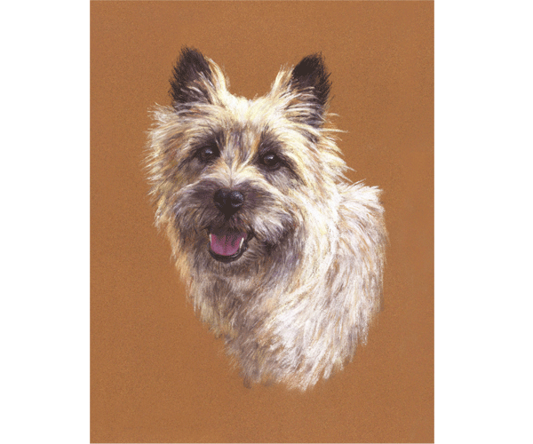 Florence Florence - pastel Jon Asher