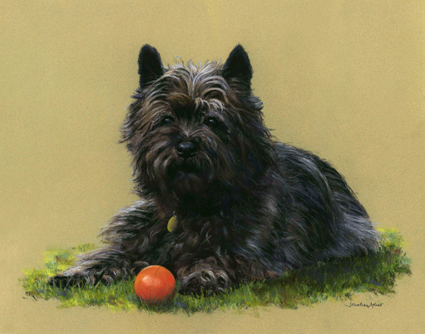 William William - pastel Jon Asher